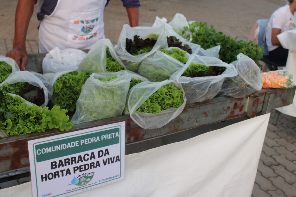 Quarta Agroecológica de 6 de abril de 2026